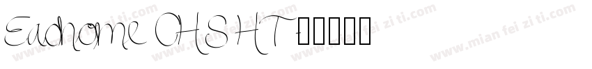 Eachome CHS HT字体转换